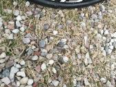 Lengvas Gravel dviratis Orro Terra - nuotraukos Nr. 6