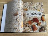 Amber Lithuania knyga - nuotraukos Nr. 3