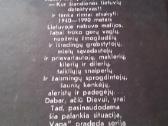 Mirtis Nebūna Atsitiktinė romanas - nuotraukos Nr. 2