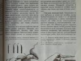 1990 medžio drožėjas A.f. Afanasjev - nuotraukos Nr. 10