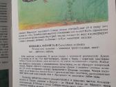 1989 populiarus enciklopedinis žuvų vadovas Жуков - nuotraukos Nr. 5