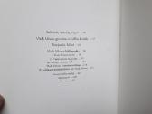 V. Butkaitė "Nepr. Akto signataras Vladas Mironas" - nuotraukos Nr. 14