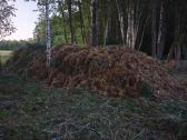 Paplūdimių įrengimas,nendrių naikinimas Molėtų raj - nuotraukos Nr. 12