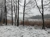 Paplūdimių įrengimas,nendrių naikinimas Molėtų raj - nuotraukos Nr. 13