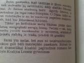 Aš Ieškau Tavęs. Negailestingiausias Melas - nuotraukos Nr. 3