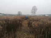 Vejos levelingas, Purškimas nuo piktžolių - nuotraukos Nr. 14