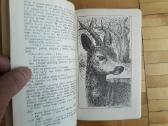 F. Zaltenas "Bembis. Bembio vaikai" - nuotraukos Nr. 6