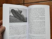 7-tasis pėst. žemaičių kunig. Butegeidžio pulkas - nuotraukos Nr. 15