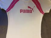 Puma maikutė