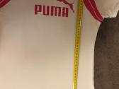 Puma maikutė - nuotraukos Nr. 3