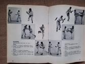 Shorinji Kempo (So Doshin) - nuotraukos Nr. 10