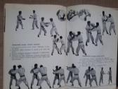 Shorinji Kempo (So Doshin) - nuotraukos Nr. 9