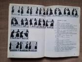 Shorinji Kempo (So Doshin) - nuotraukos Nr. 8
