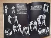 Shorinji Kempo (So Doshin) - nuotraukos Nr. 5