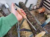 Įrankis grybienos ant pjuvenų sodinimui į rąstus
