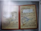 Diplomas - nuotraukos Nr. 2