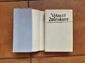 Vytautė Žilinskaitė "Vaiduokliai" 1991m. - nuotraukos Nr. 3