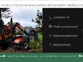 Didelių medžių persodinimas - nuotraukos Nr. 11