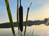 Sodybos ir baidarių nuoma Alytaus rajone - nuotraukos Nr. 33