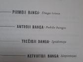 Knyga Rick Yancey "Penktoji banga " - nuotraukos Nr. 4