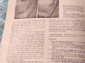 Senoviškos vertingos medicinines knygos - nuotraukos Nr. 9