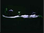 Kirlian Camera 2lp ( 2 vinilaj)