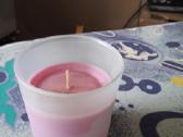 Augalų aromatą skleidžianti žvakė