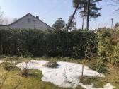 Avariniu medžių pjovimas - nuotraukos Nr. 11