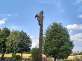 Avarinių medžių , krūmų pjovimas. Arboristas. - nuotraukos Nr. 18