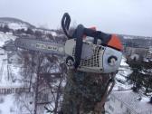 Avarinių medžių , krūmų pjovimas. Arboristas. - nuotraukos Nr. 22