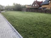 Žolės pjovimas. Vejos skarifikavimas - nuotraukos Nr. 10