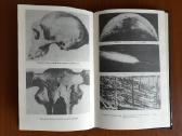 S. Kanišauskas "Kur jūs ateiviai iš kosmoso" 1988m - nuotraukos Nr. 6