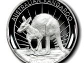 Australija 2011 Australijos kengūra - nuotraukos Nr. 3