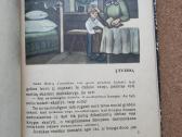 Šatrijos Ragana - Iš daktaro pasakojimų - nuotraukos Nr. 3