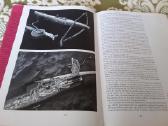 Jagdliches Brauchtum - Buch mit Eterna - Schallpla - nuotraukos Nr. 4