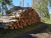Geros kokybės malkos,malkos padėklose,pigiosmalkos - nuotraukos Nr. 12