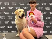Labradoro retriveris reproduktorius - nuotraukos Nr. 26