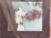 Cocteau Twins vinilas " Treasure " - nuotraukos Nr. 3
