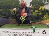 Nykštukiniai - triušiniai taksiukai - nuotraukos Nr. 28