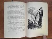 K. Skalbė "Paparčio žiedas" 1959 metai - nuotraukos Nr. 6