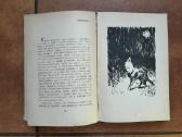 K. Skalbė "Paparčio žiedas" 1959 metai - nuotraukos Nr. 7
