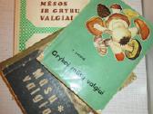 Senos maisto gaminimo knygos Viso 10 vnt - 7 Eur