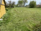 Žolės, vejos pjovimas, šienavimas - nuotraukos Nr. 16