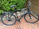 Dviratis Focus Wasgo XL