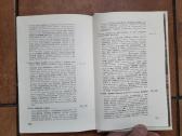 Jozefas Pficneris "D L K Vytautas kaip politikas" - nuotraukos Nr. 6