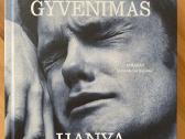 Mažas gyvenimas, Hanya Yanagihara