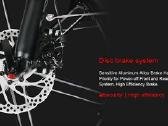 Elektrinis dviratis Samebike 20lvxd30-II 350w - nuotraukos Nr. 18
