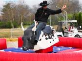 Rodeo bulius Kaune
