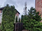Vejos įrengimas, trinkelių įrengimas, plovimas - nuotraukos Nr. 15