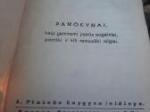 Antikvarinės knygos - nuotraukos Nr. 3